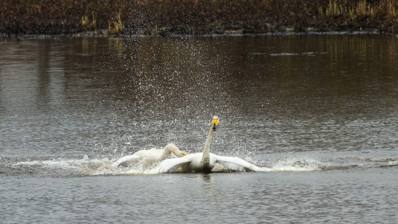 Valokuvaaja: Heikki Rantala