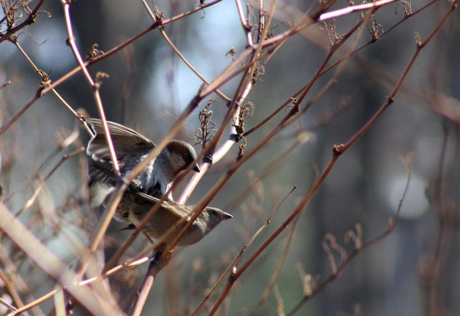 Valokuvaaja: Pekka Liila