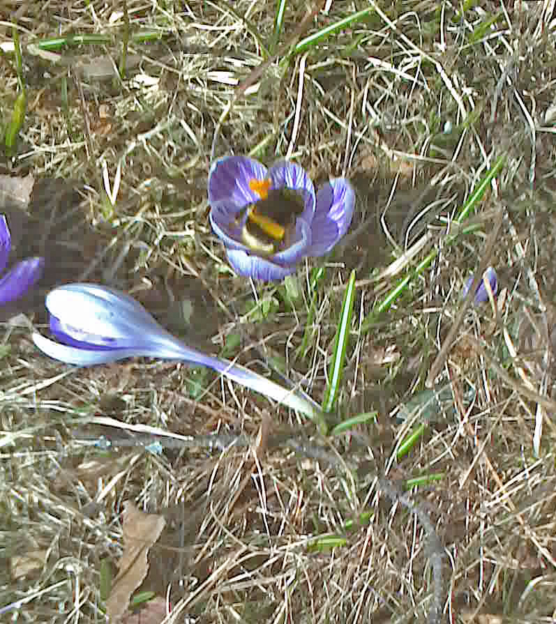 Valokuvaaja: Eila Anttila