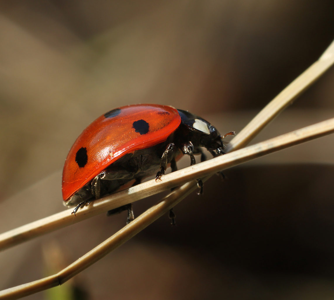 Valokuvaaja: Tarja Porkkala