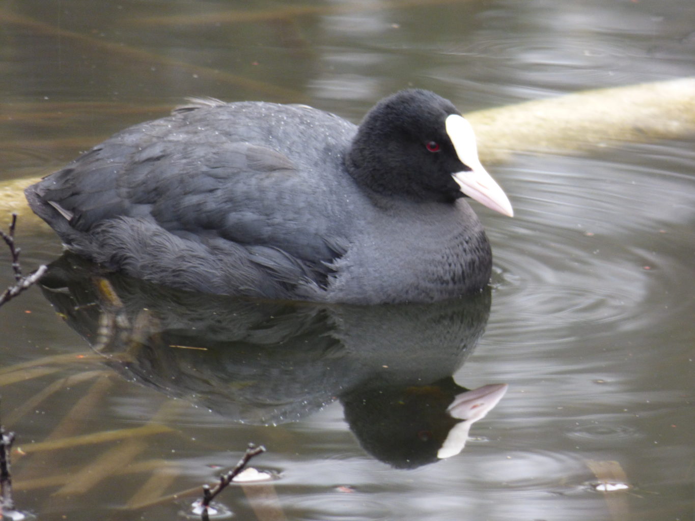 Valokuvaaja: Teijo Liiti