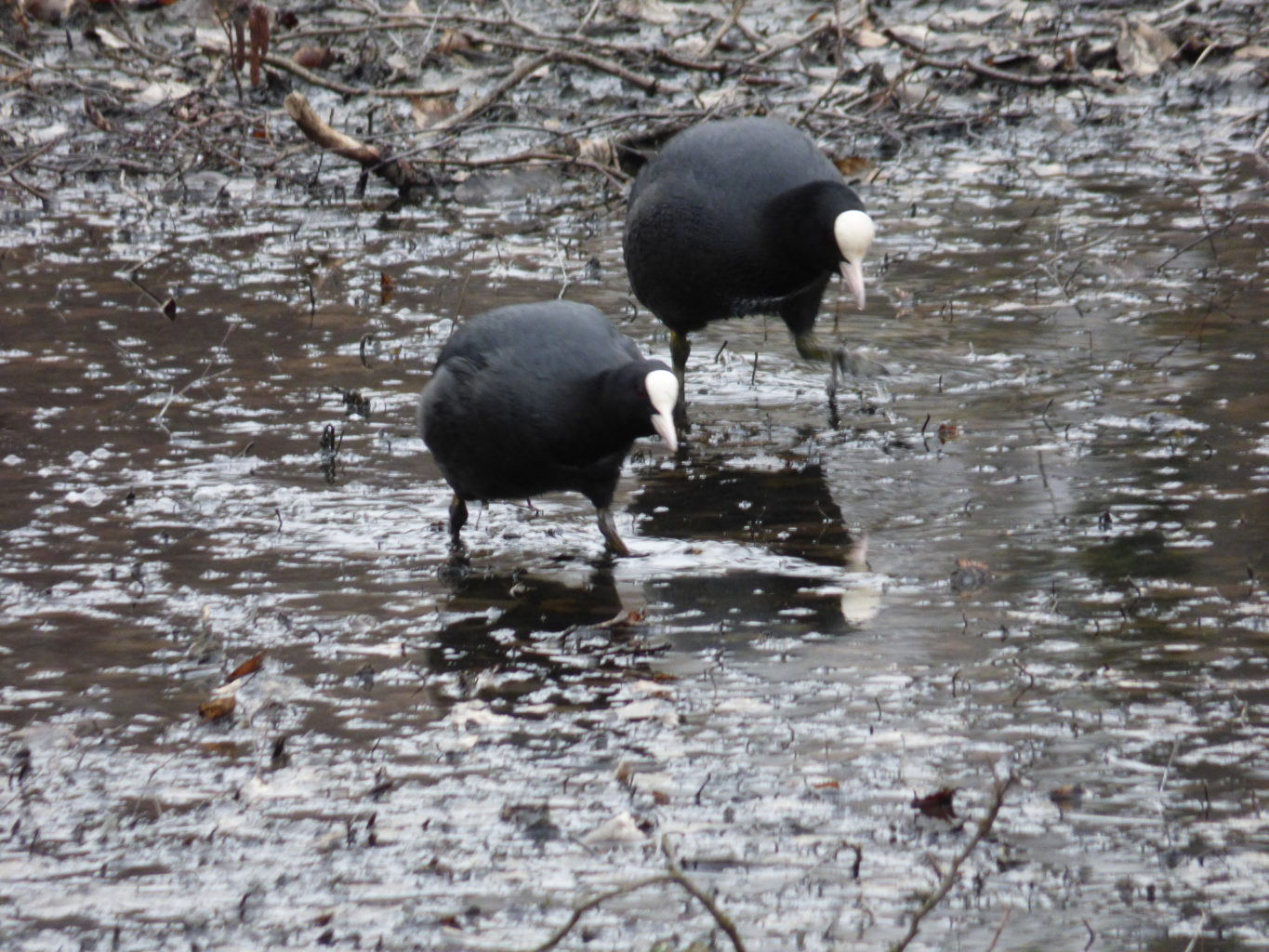 Valokuvaaja: Teijo Liiti