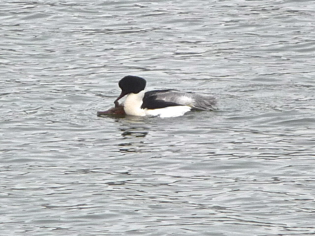 Valokuvaaja: Katri Lehtonen
