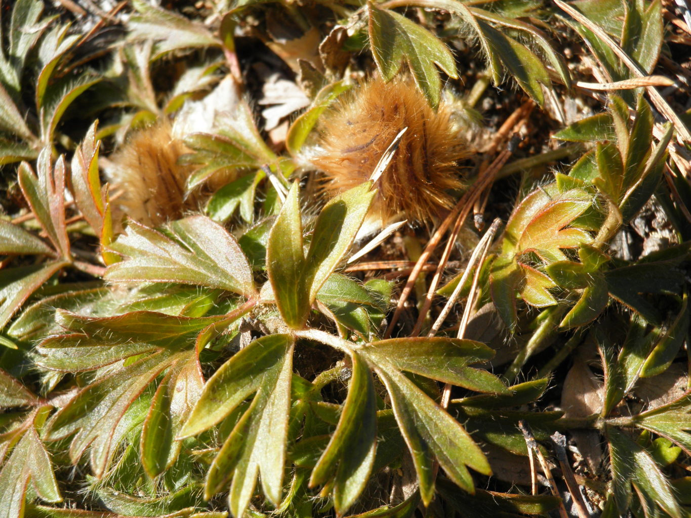 Valokuvaaja: Päivi Vammelvirta