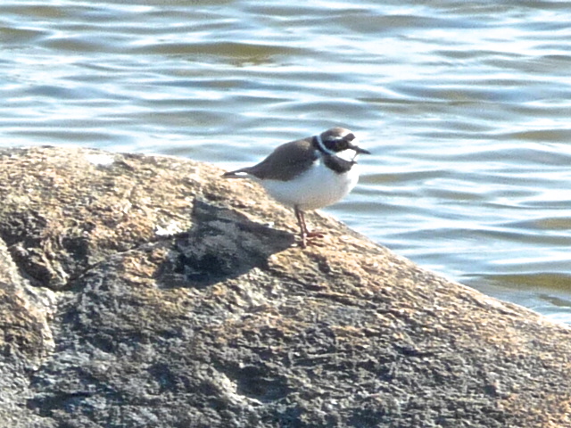 Valokuvaaja: Katri Lehtonen