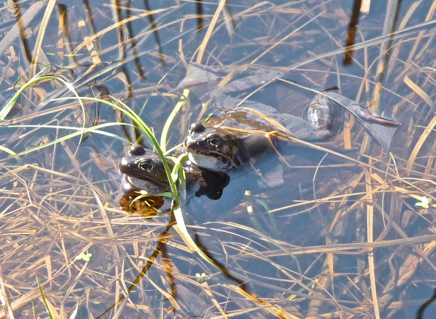 Valokuvaaja: Katri Lehtonen