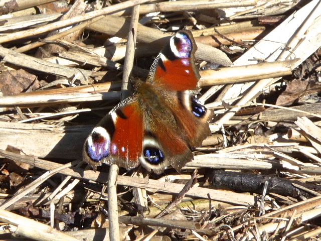 Valokuvaaja: Katri Lehtonen
