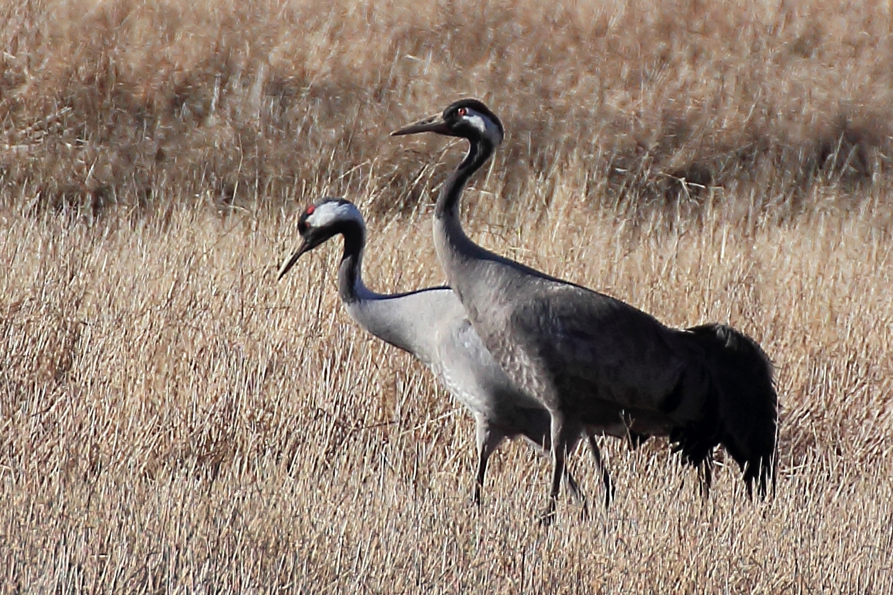 Valokuvaaja: Eija Tienhaara