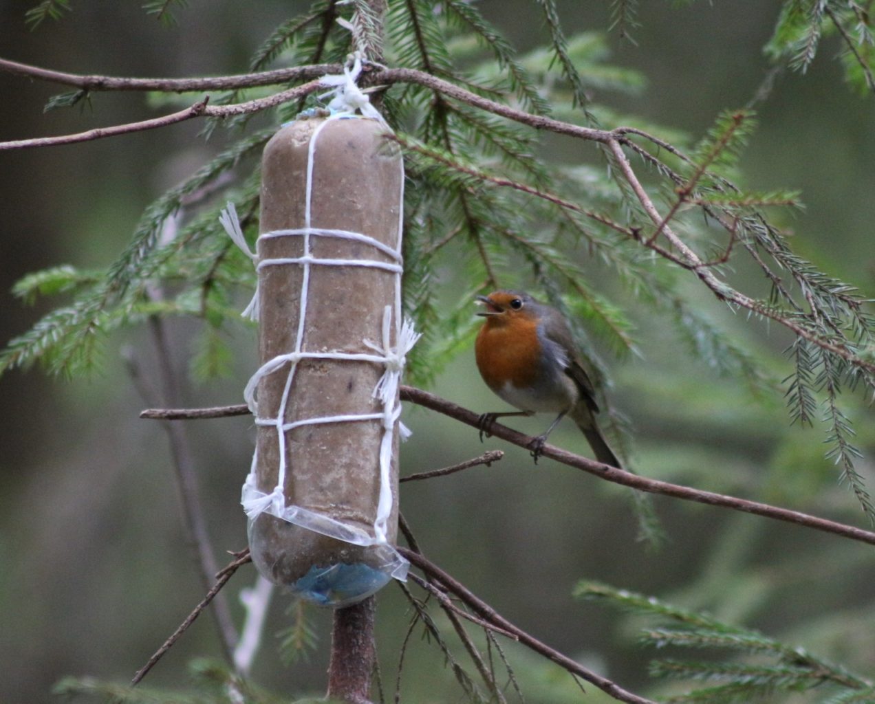 Valokuvaaja: Terhi Pöntinen