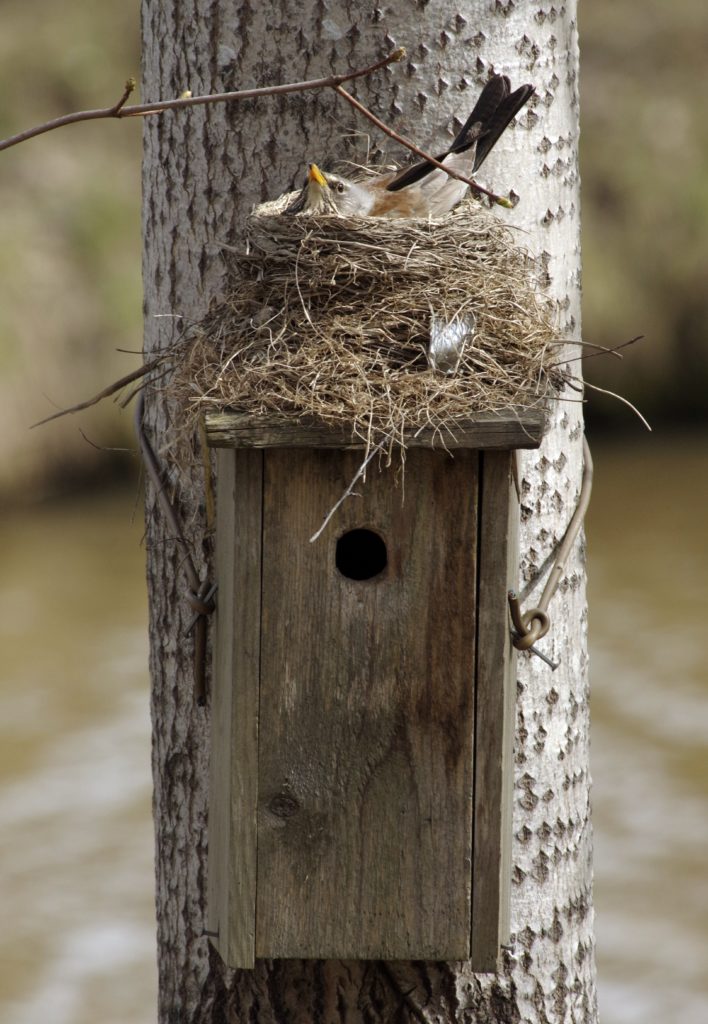 Valokuvaaja: Erkki Heinonen