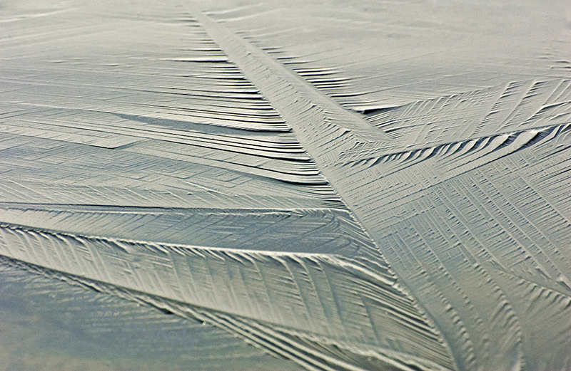 Valokuvaaja: pertti jaakola Valokuvaaja: pertti jaakola