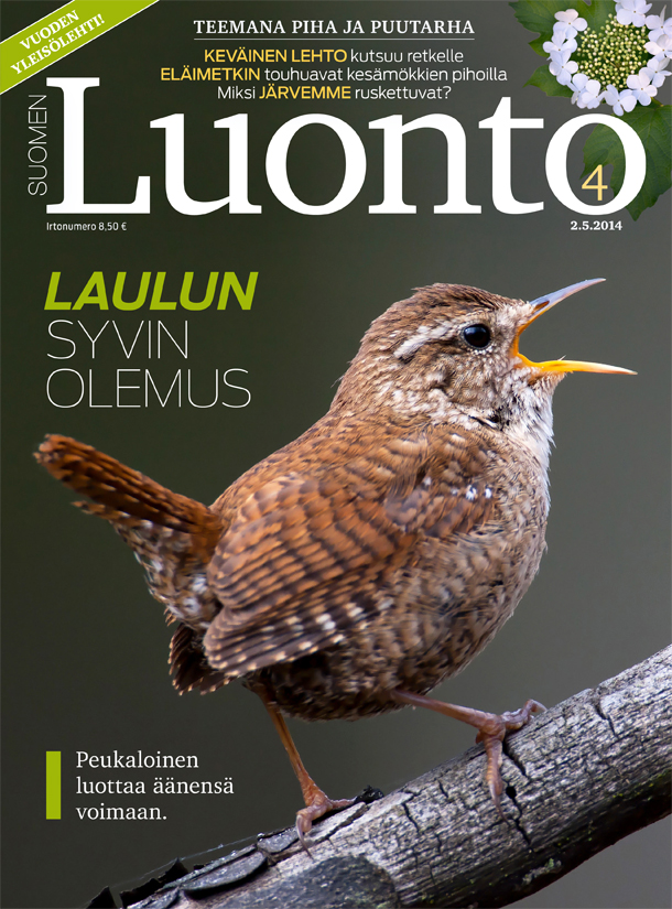 Suomen Luonto 4/2014