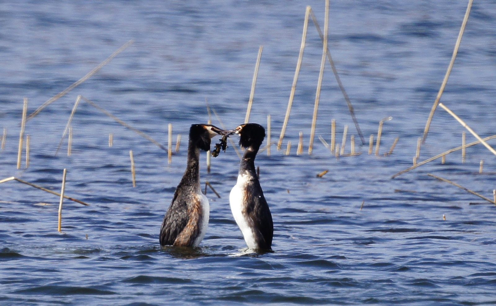 Valokuvaaja: Simo Pilpola