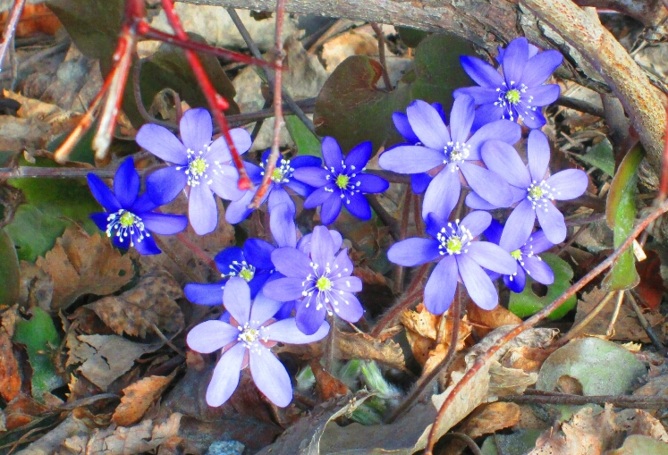 Valokuvaaja: Tuula Makkonen Valokuvaaja: Tuula Makkonen