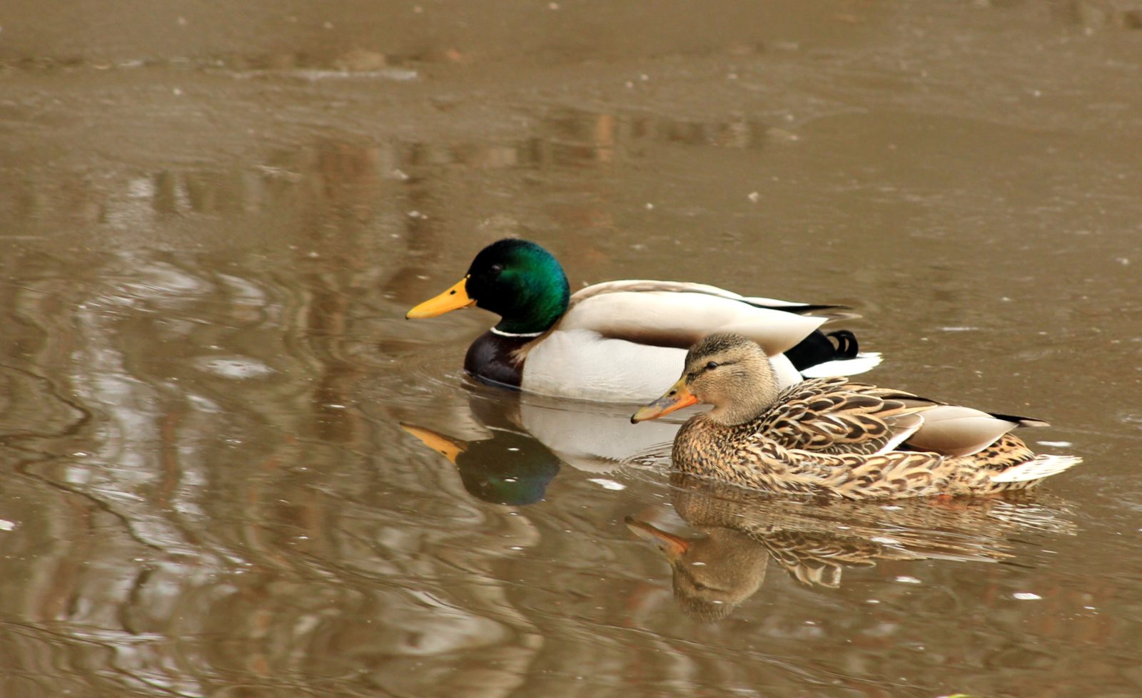 Valokuvaaja: Pirjo Hokkanen