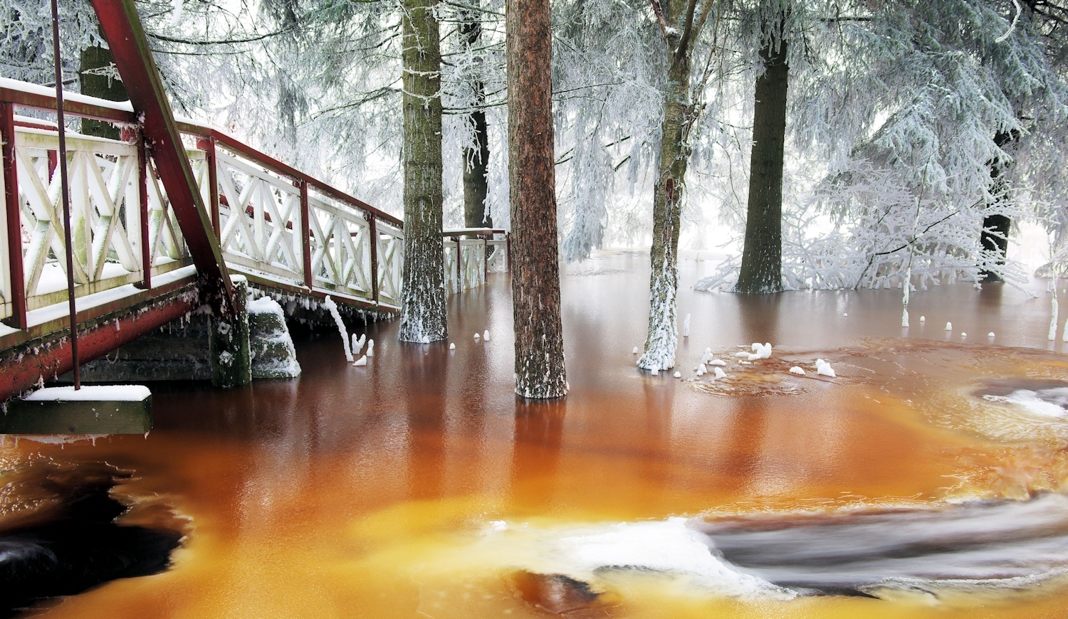 Valokuvaaja: Arimo Eklund