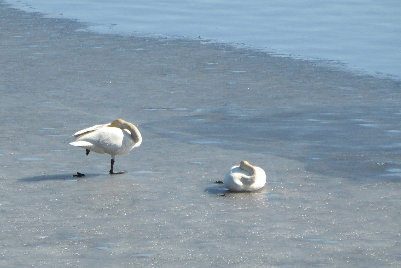 Valokuvaaja: Kalle Asikainen