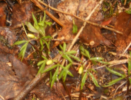 Valokuvaaja: Tiina Arlin