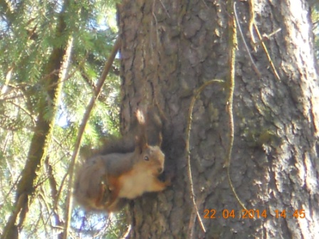 Valokuvaaja: Tiina Arlin