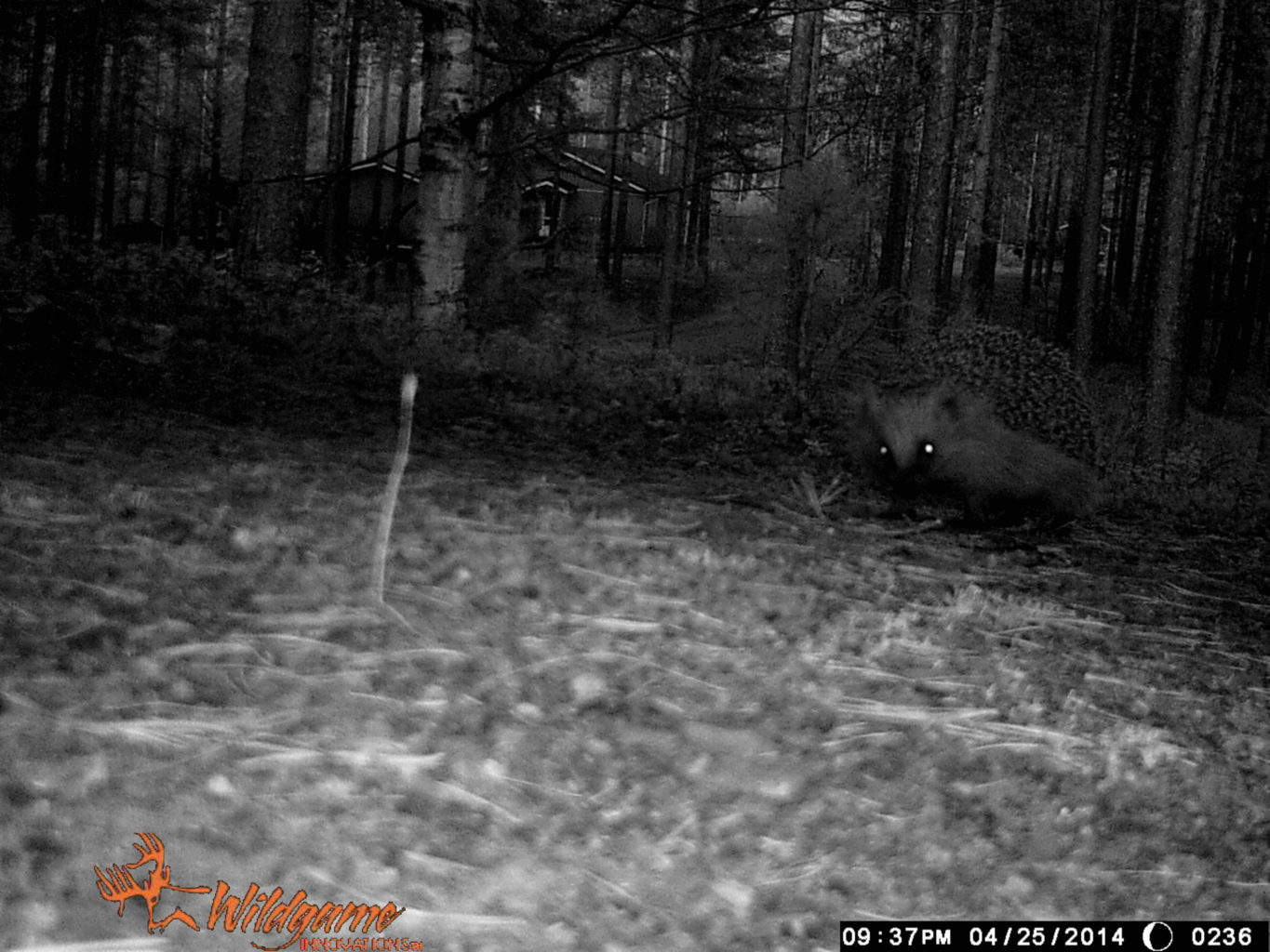 Valokuvaaja: Raili Sallinen