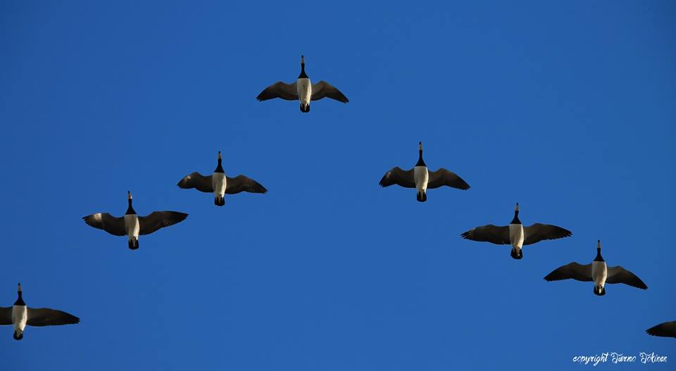 Valokuvaaja: Jarmo Jokinen