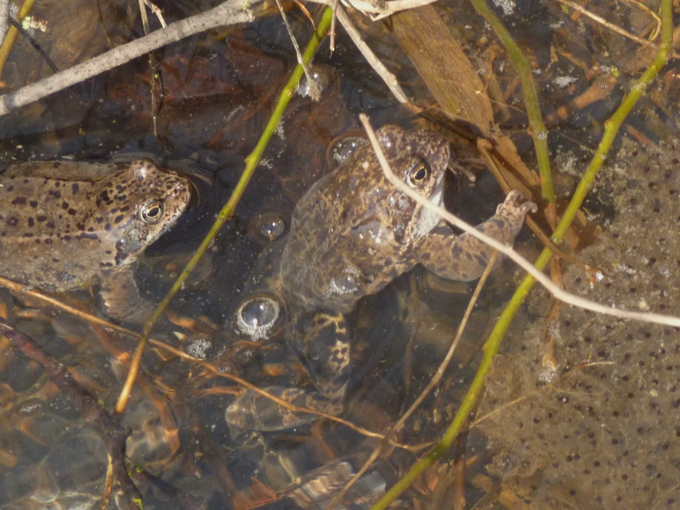 Valokuvaaja: Katri Himanen