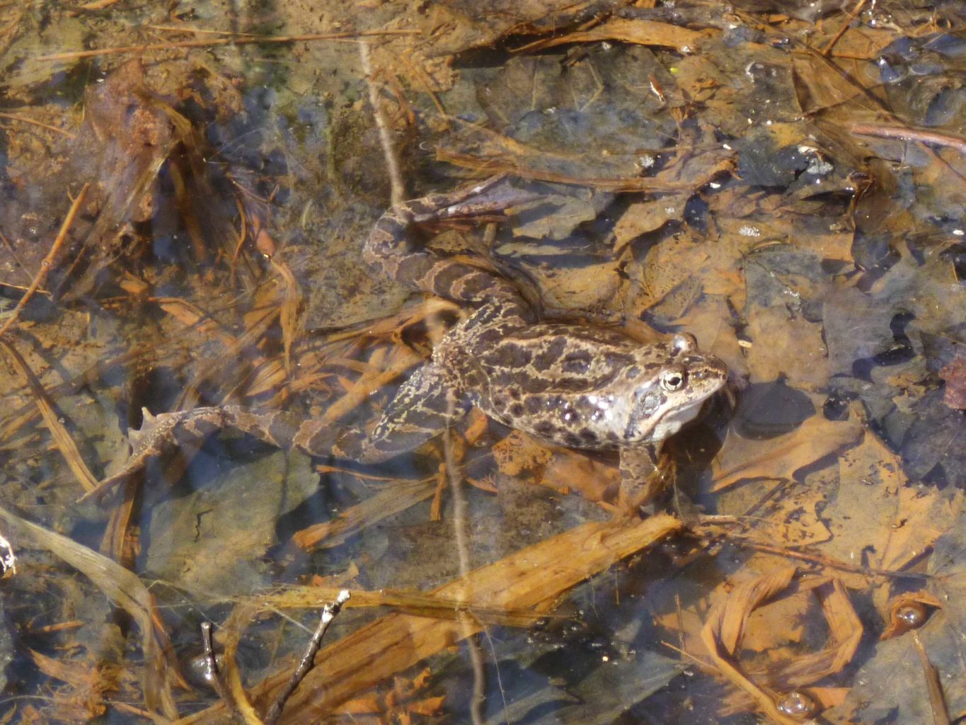 Valokuvaaja: Katri Himanen