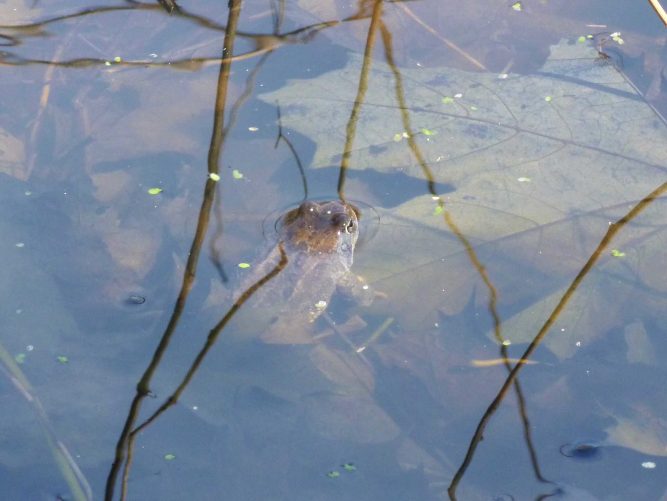 Valokuvaaja: Katri Himanen