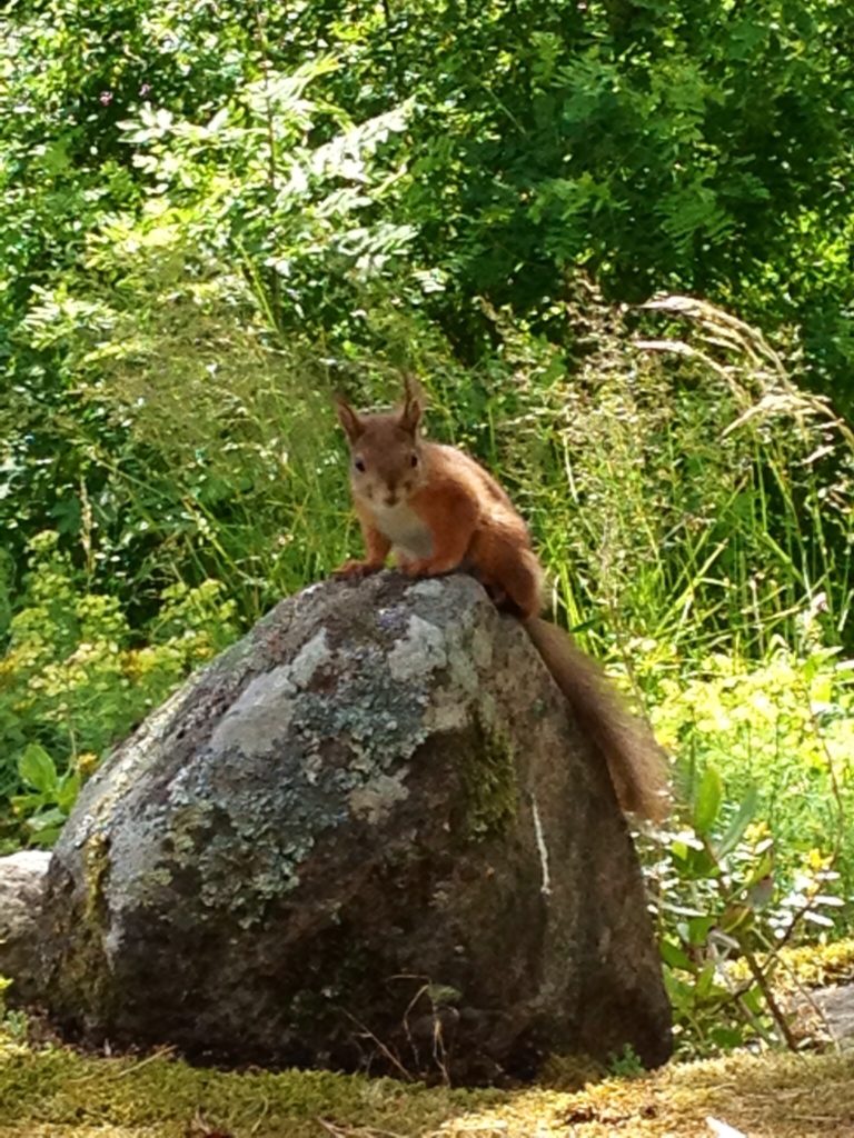Valokuvaaja: Pia Lampinen
