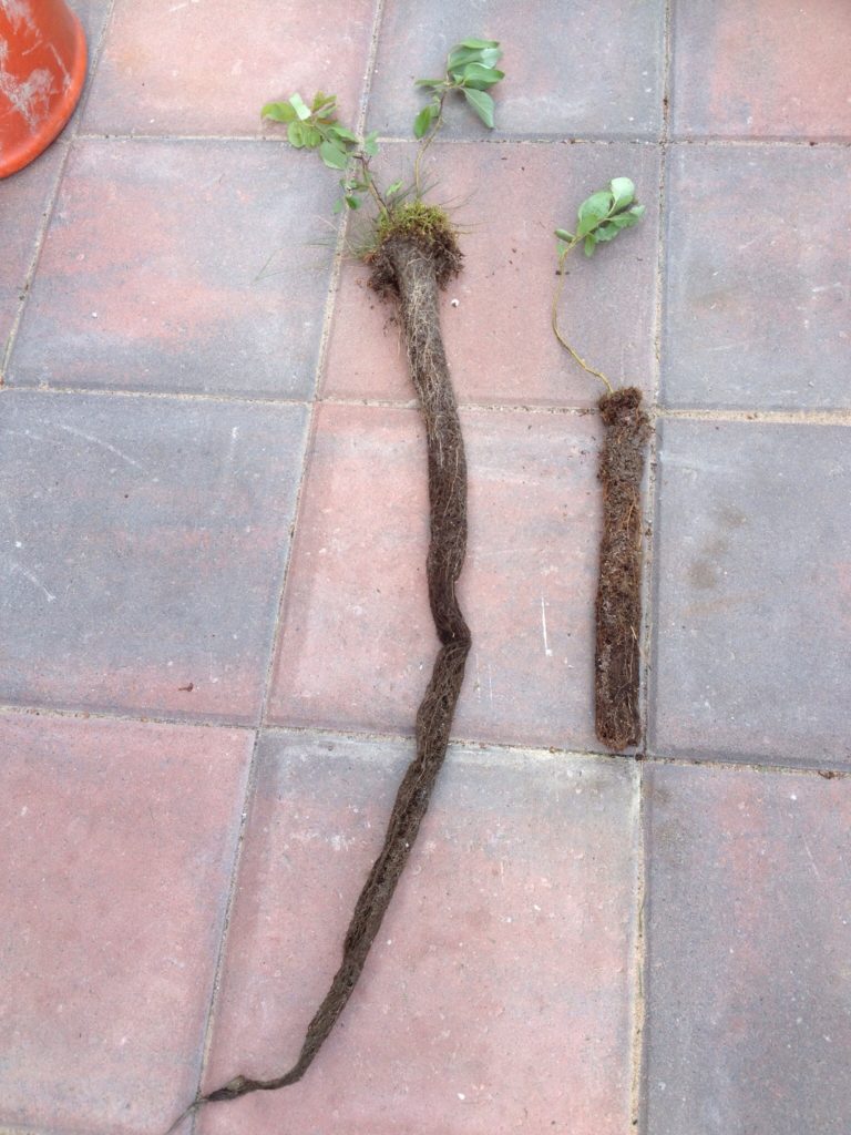 Valokuvaaja: Pia Lampinen Valokuvaaja: Pia Lampinen