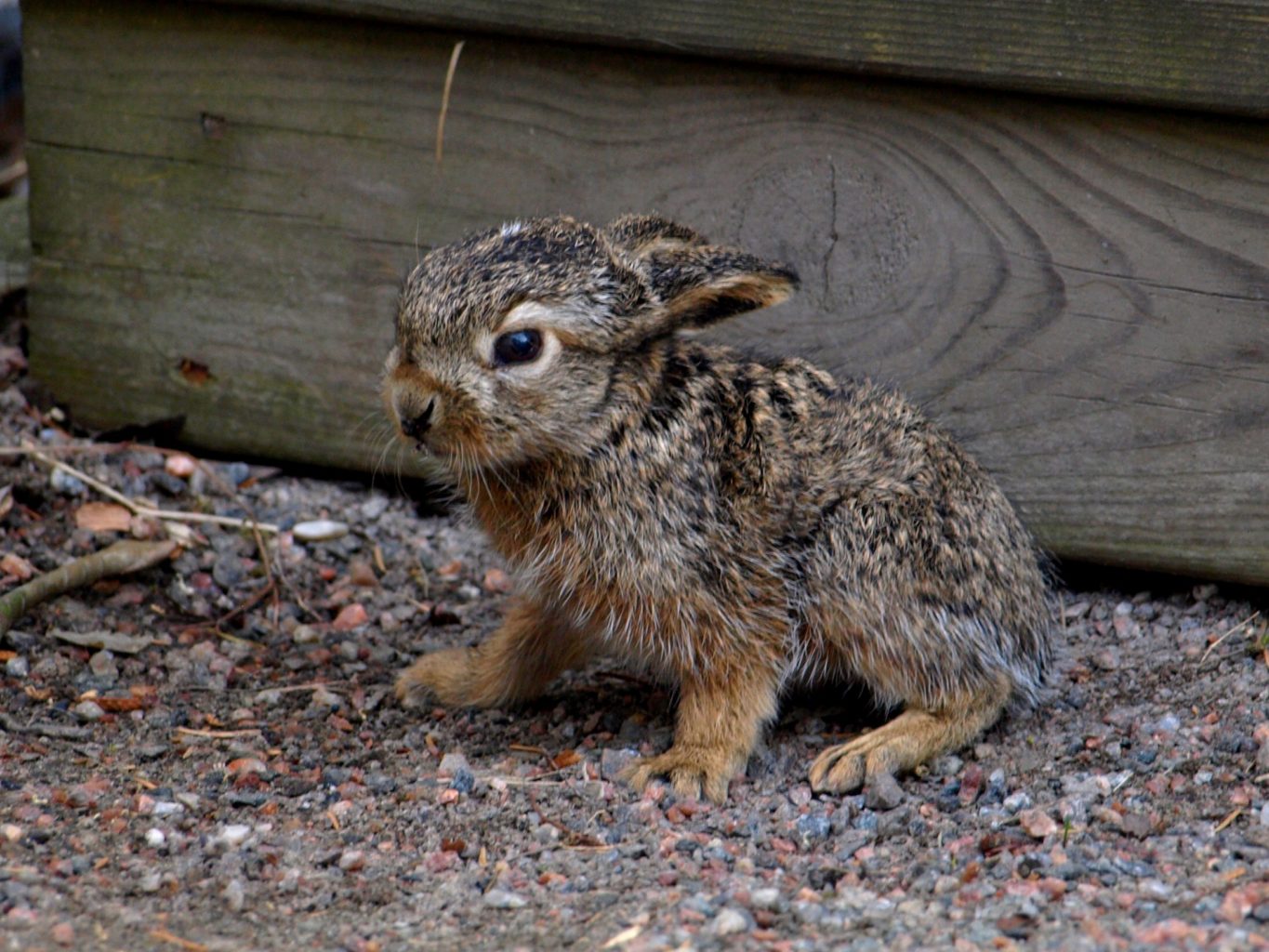 Valokuvaaja: Jenni Kivekäs