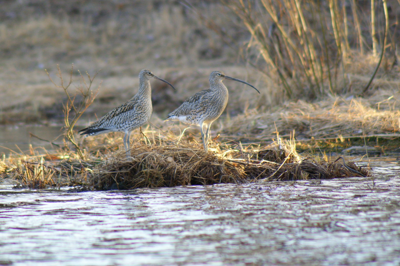 Valokuvaaja: Toni Asikainen Valokuvaaja: Toni Asikainen