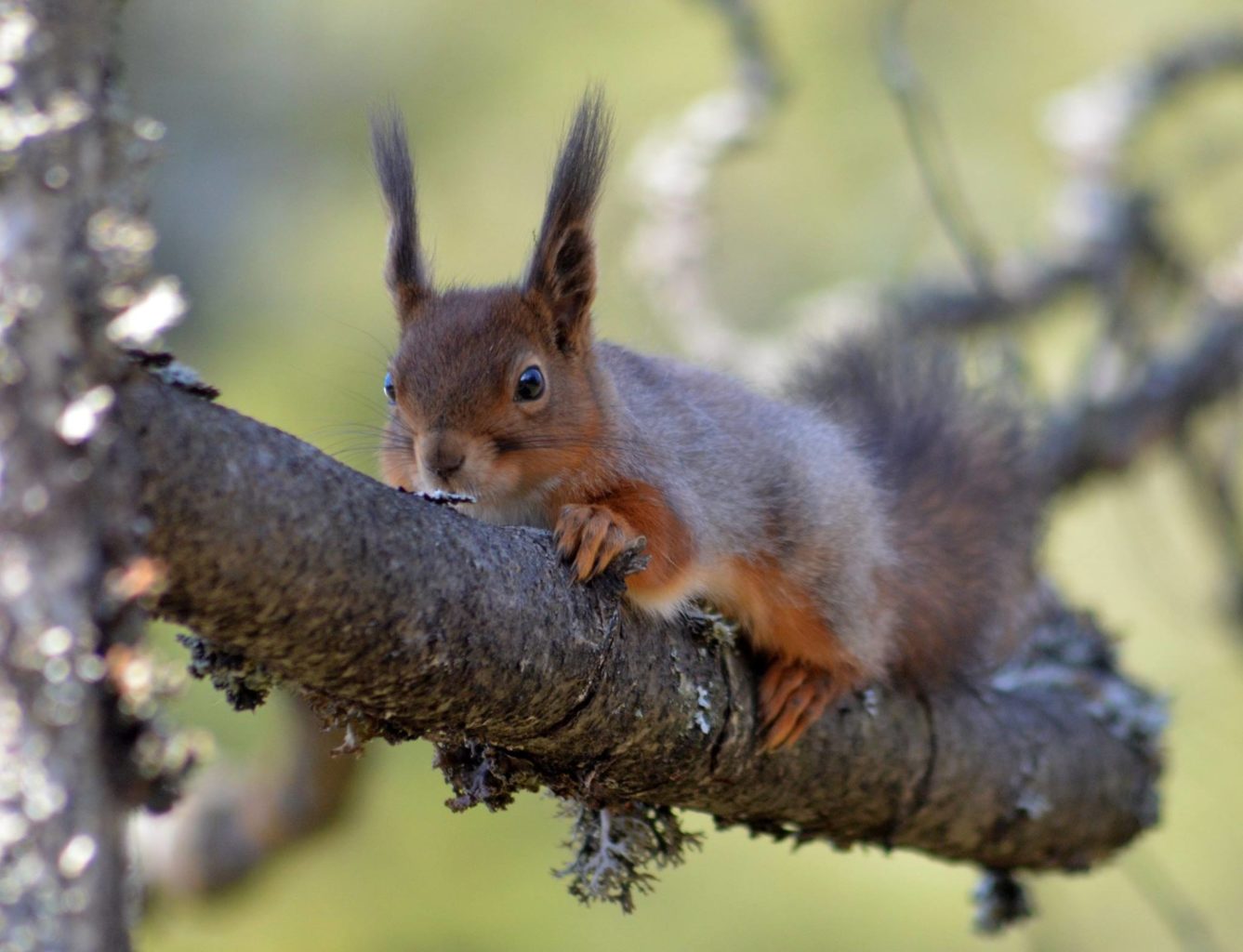 Valokuvaaja: Eija Varjola