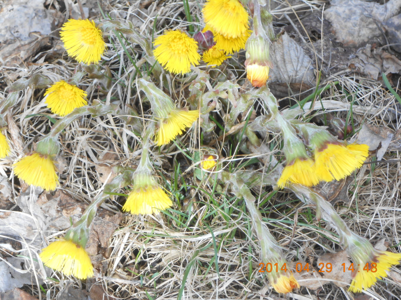 Valokuvaaja: lea mäyrä