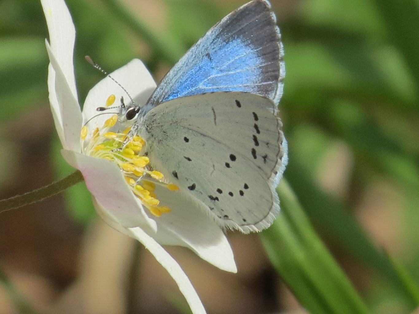 Valokuvaaja: Päivi Torkki