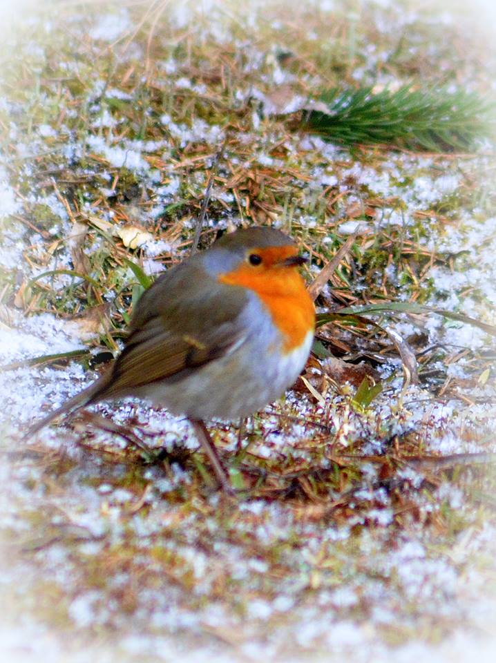 Valokuvaaja: Eija Varjola