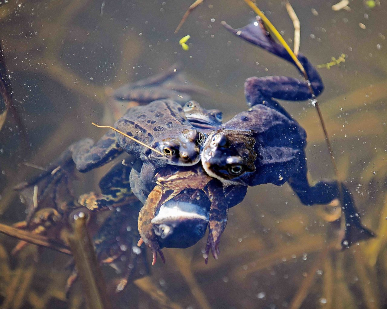 Valokuvaaja: Milla Vahtila