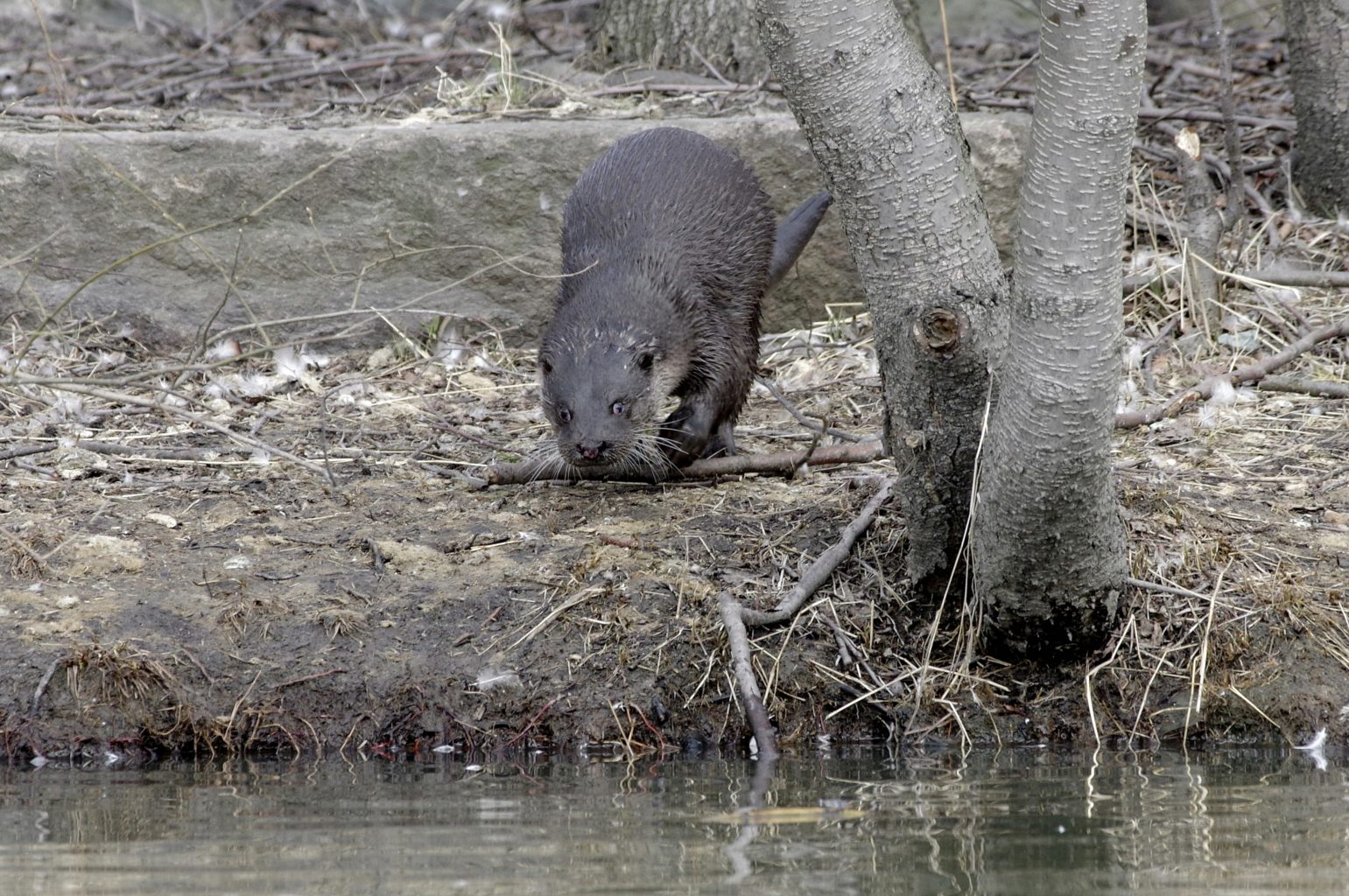 Valokuvaaja: Erkki Heinonen