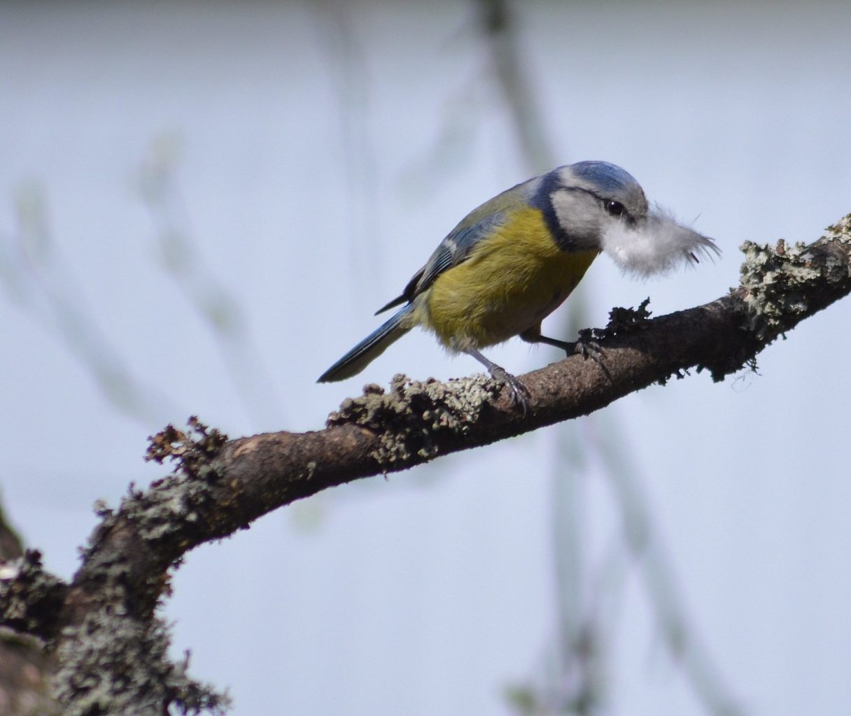 Valokuvaaja: Eija Varjola