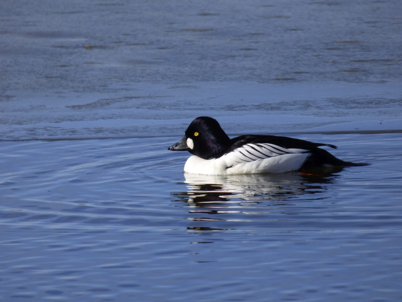 Valokuvaaja: TeijoLiiti