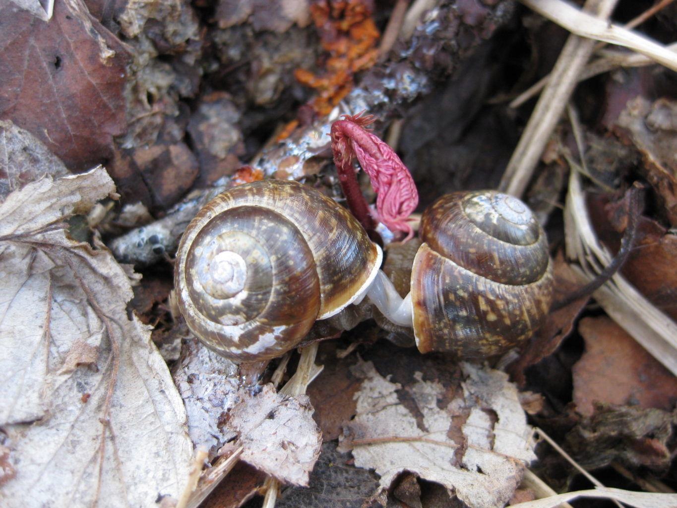 Valokuvaaja: yrjö lukkari