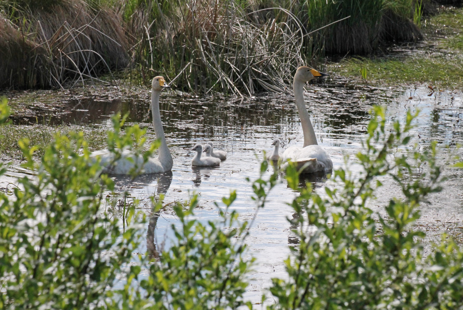 Valokuvaaja: Katri Mäkinen