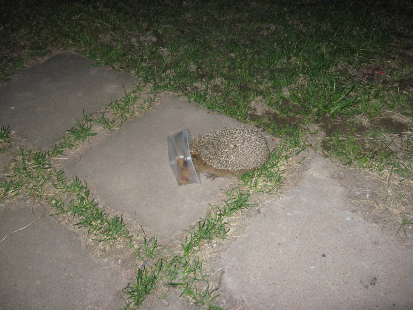 Valokuvaaja: Hilkka Mäkinen