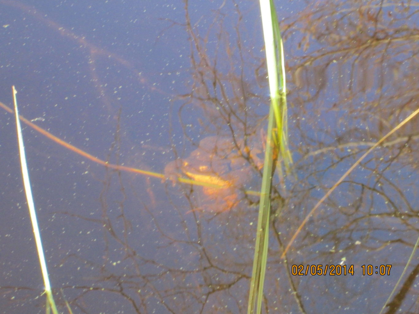 Valokuvaaja: Samu Kähtävä