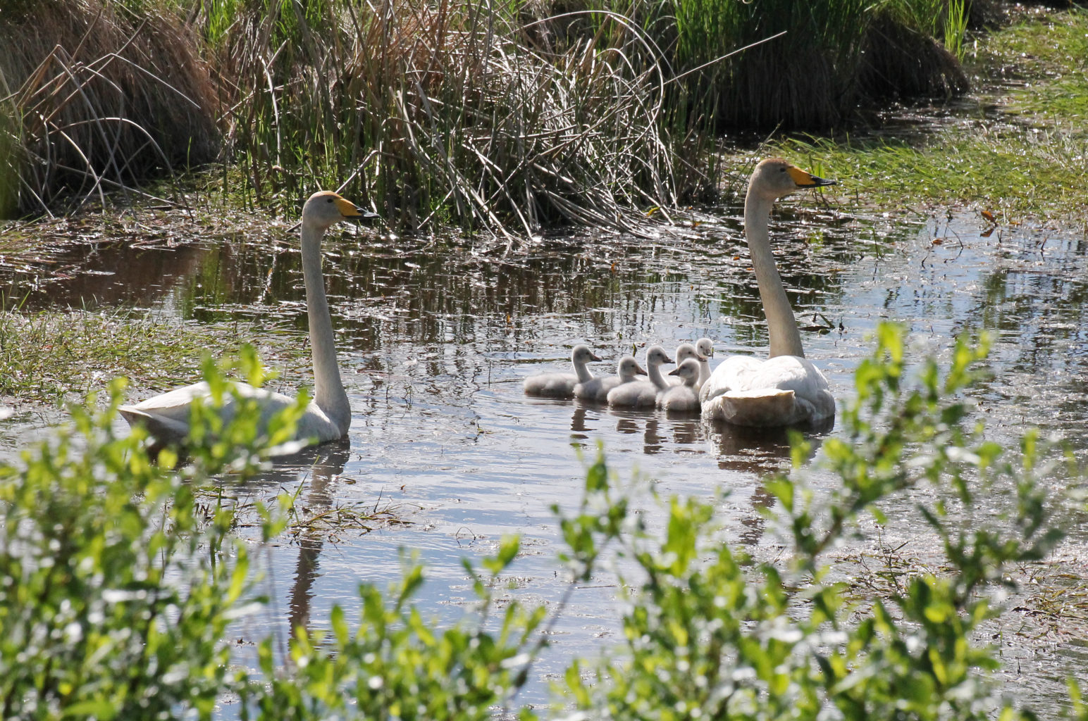 Valokuvaaja: Katri Mäkinen
