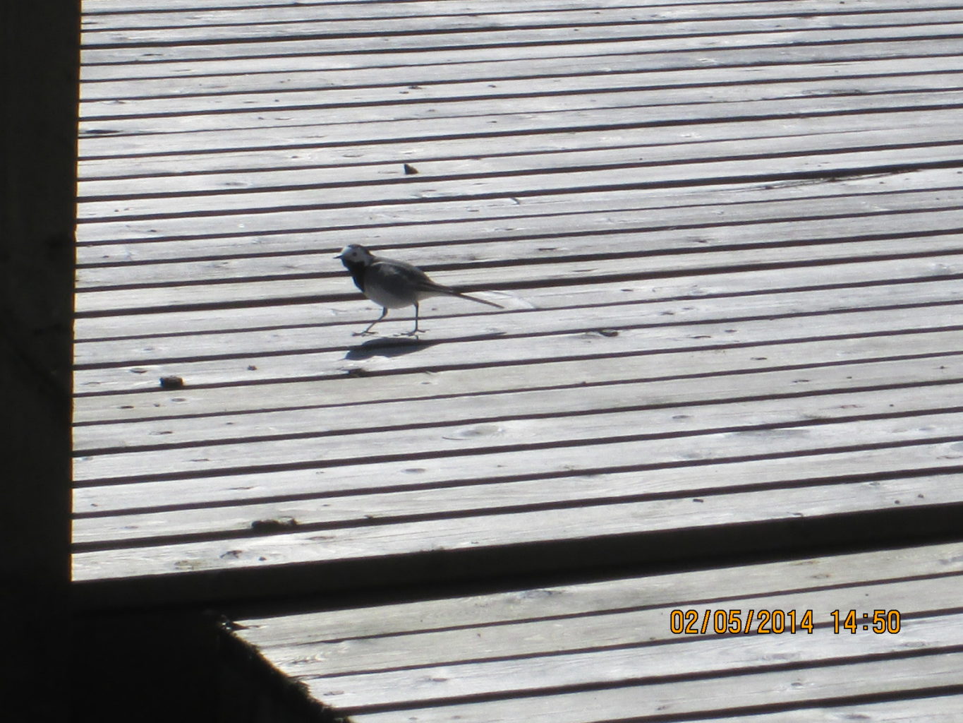 Valokuvaaja: Samu Kähtävä