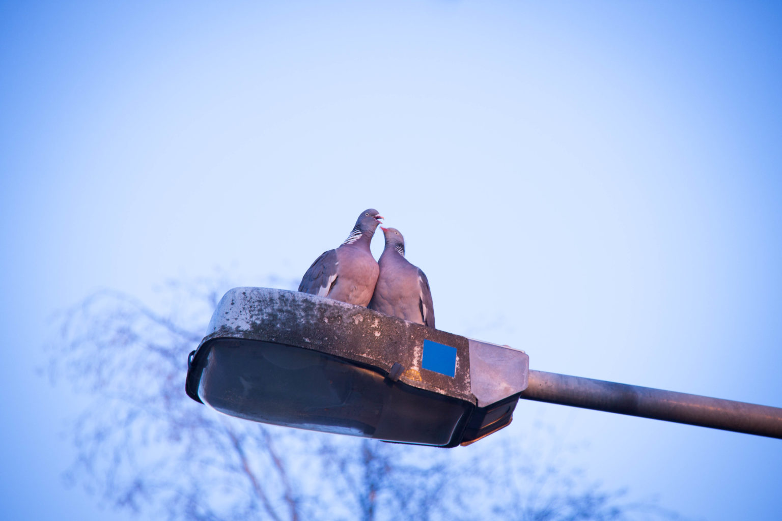 Valokuvaaja: Julia Jacobsson