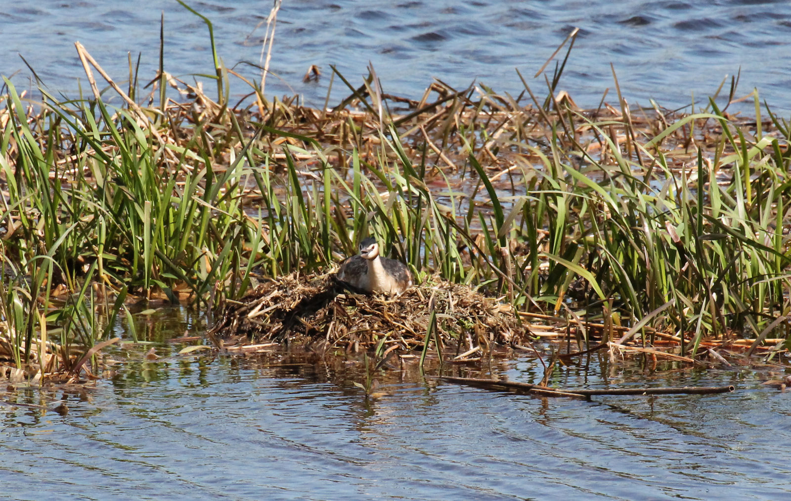 Valokuvaaja: Katri Mäkinen