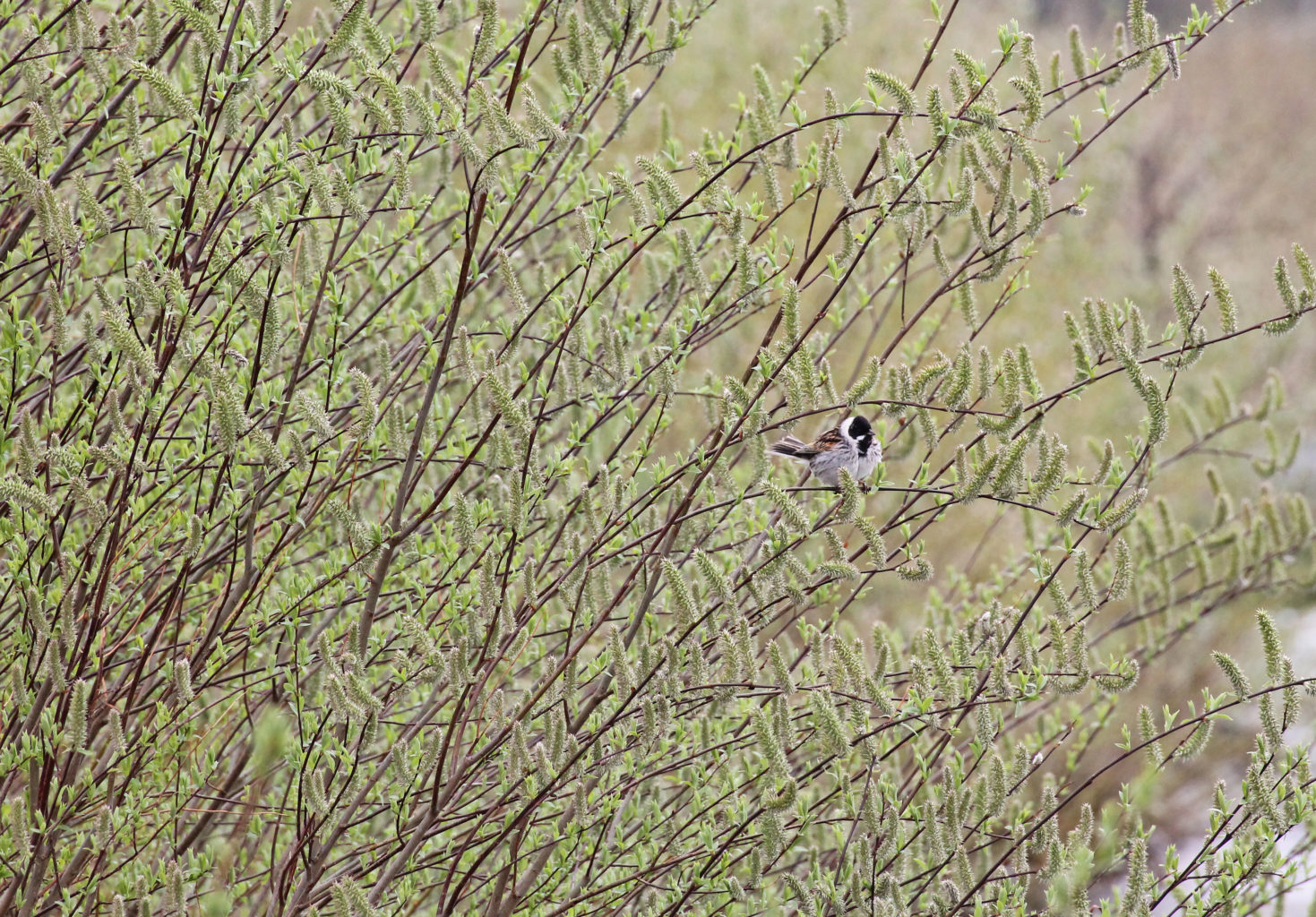 Valokuvaaja: Katri Mäkinen