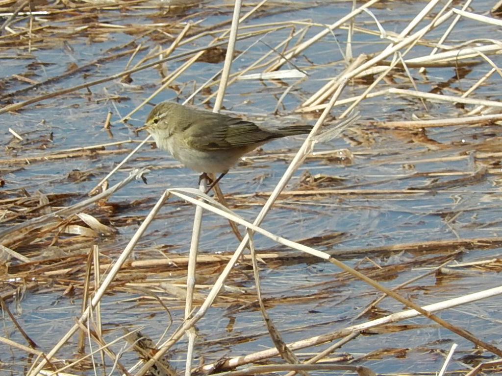 Valokuvaaja: Pirkko Siukonen